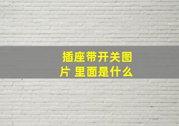 插座带开关图片 里面是什么